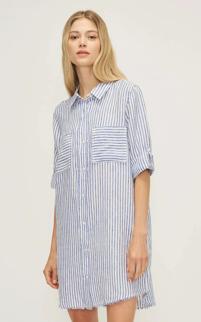 The Cynthia Striped Shirt Dress